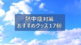 暑くて外に出たくない 家で完結する過ごし方7選 夏を乗り越えよう ふまブログ